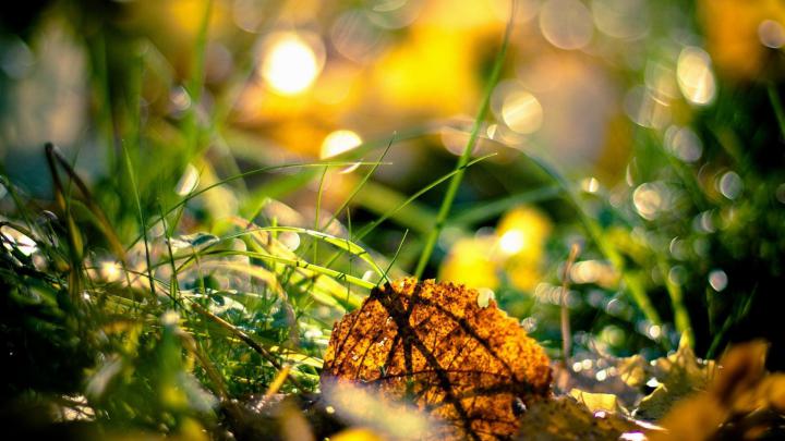 HD Wallpapers Nature 1080p (77+ images)