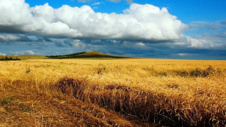 HD Wallpaper Widescreen 1920x1080 (69+ pictures)