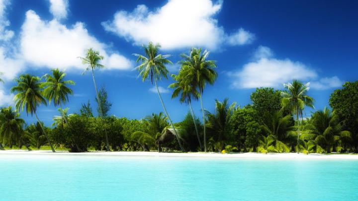 Tropical HD Wallpapers 1080p -