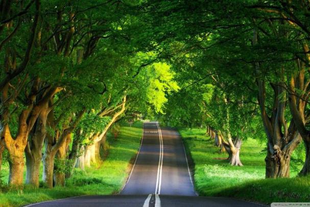 Summer Images Wallpaper \u00b7\u2460 