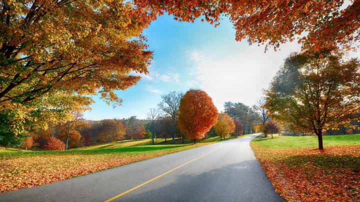 Full Hd Wallpapers High Resolution Download - Background Hd High 
