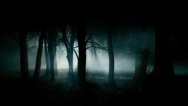 Most Haunting Scary Wallpapers of All TIme 1680\u00c3 1050 Wallpapers Horror 