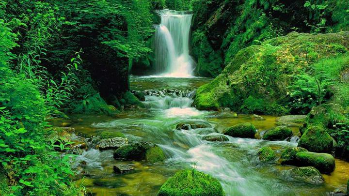 Green waterfall HD Wallpaper | Background Image | 1920x1080 | 568807 