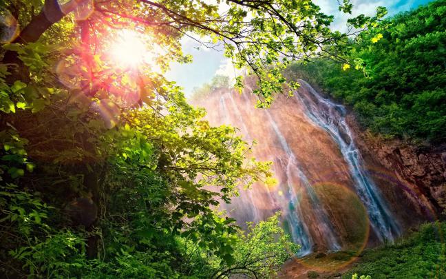 Forest Waterfall Wallpaper (56+ pictures)