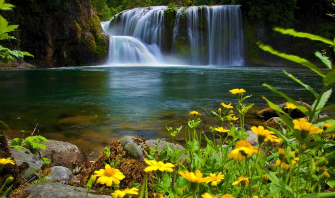 Spring Waterfall Wallpapers