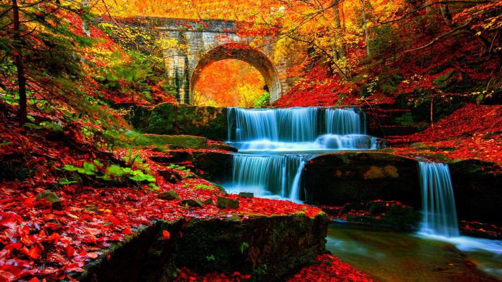 Autumn waterfall in the forest wallpaper - backiee