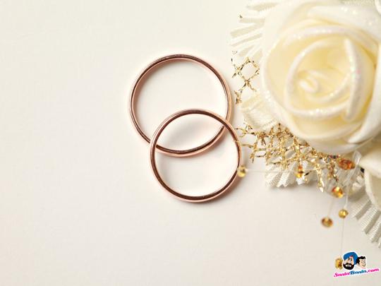 Free Wedding Pictures wallpaper | 1024x768 | #84502