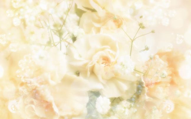 Wedding Background wallpaper | 1920x1200 | #73760