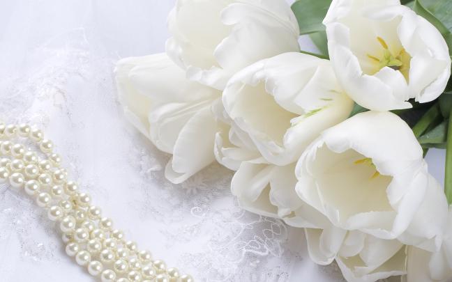 Wedding wallpaper | 1920x1200 | #44211