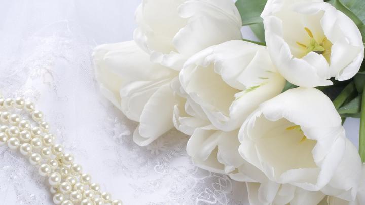 White 1920x1080 Wallpaper - Wallpaper, High Definition, High Quality 