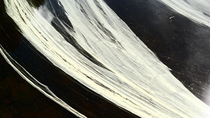 macro, dandelion, abstract, white | 1920x1080 Wallpaper - wallhaven.cc