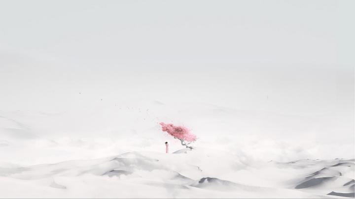 artwork, sakura (tree), alone, isolation, minimalism, white | 1920x1080 