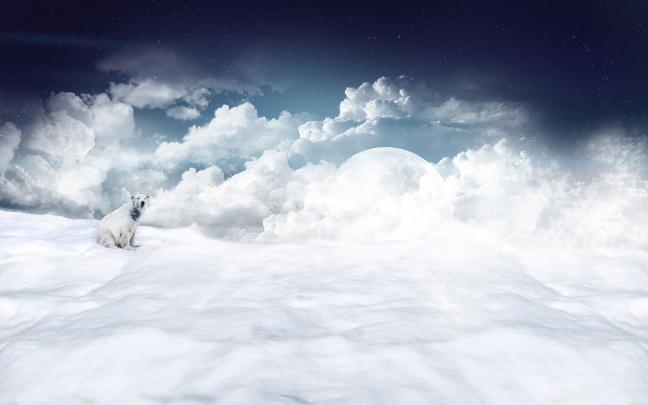 White 1900x1200 - Wallpaper, High Definition, High Quality, Widescreen