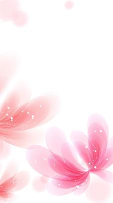 White Background Wallpapers (66+ background pictures)