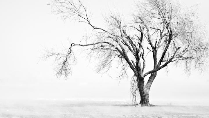White 1080p Wallpaper - Wallpaper, High Definition, High Quality 