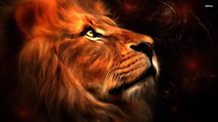 Lion Wallpaper Desktop (68+ images)