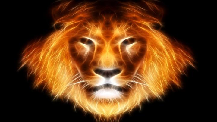 Lion of Judah Wallpapers (64+ images)