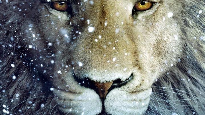 White Lion Background (57+ images)