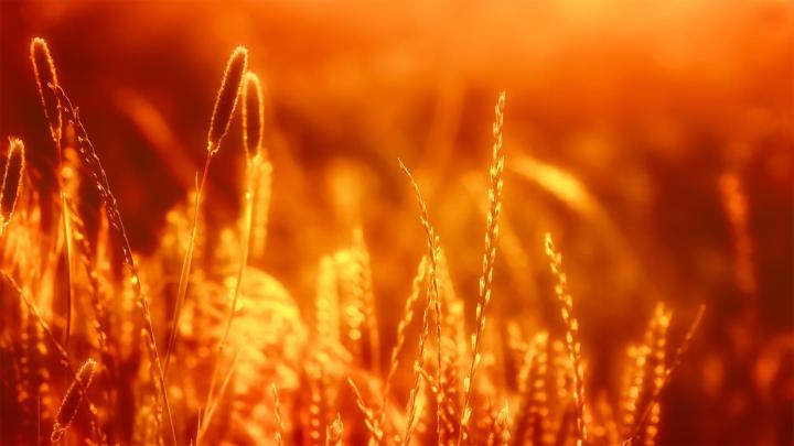 24 Warm Wallpapers - WallpaperBoat