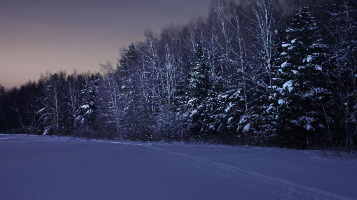 [45+] Snowy Winter Night Scenes Wallpaper 