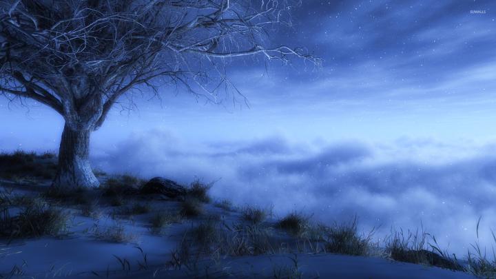Winter night wallpaper - Digital Art wallpapers - #35275