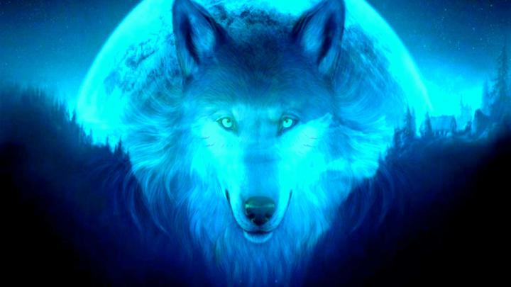 Free download Cool Wolf Desktop Backgrounds 2021 Live Wallpaper HD 