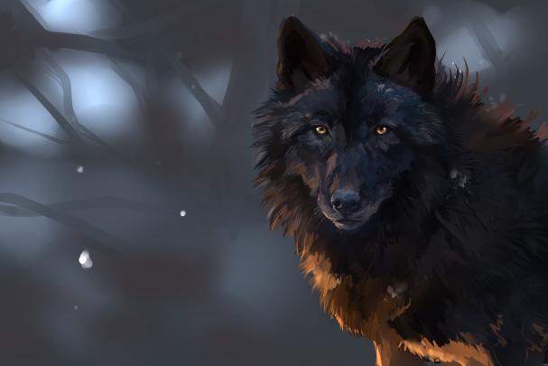 Wolf Wallpaper Desktop -