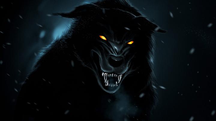 Free download Black Wolf Wallpapers Hd [1920x1080] for your Desktop 