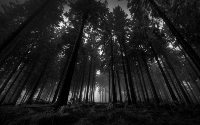 10 Top Dark Wood Wallpaper Hd FULL HD 1080p For PC Background 2020