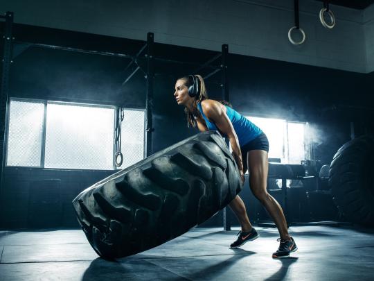 Fitness Model Female Hd Wallpaper \/ Pleasant 6 fitness models female 
