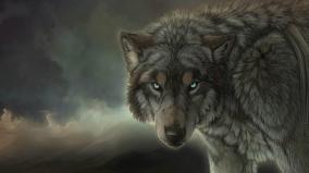 Wolf Wallpaper 1920x1080