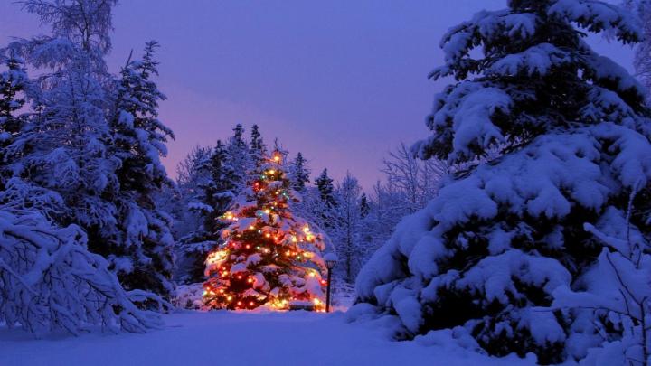 Christmas Scenery Backgrounds \u00b7\u2460 