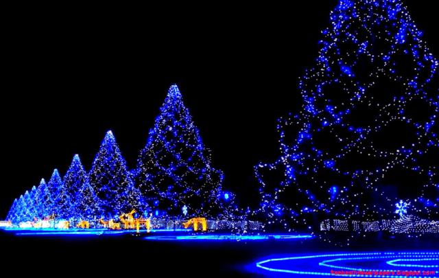 Christmas Wallpaper | Free Best Hd Wallpapers