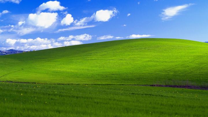 grass, Bliss Wallpapers HD \/ Desktop and Mobile Backgrounds