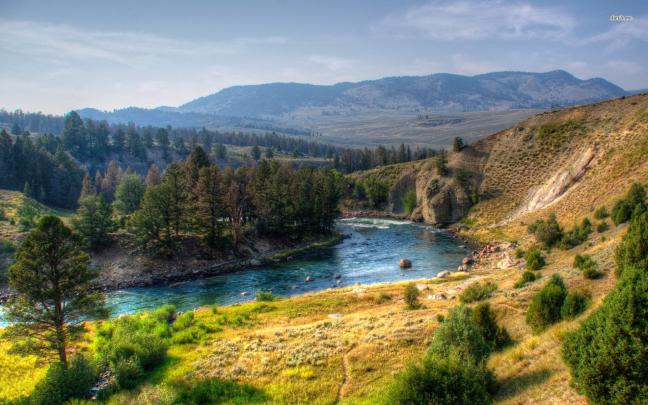 [43+] Yellowstone National Park Wallpapers 