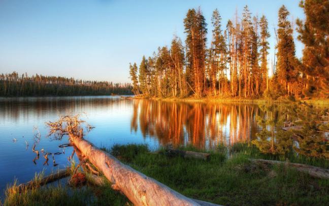 Yellowstone Wallpapers