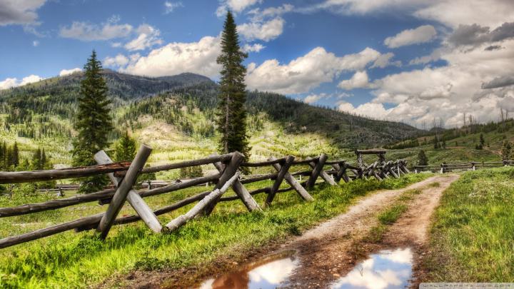 [43+] Yellowstone National Park Wallpapers 