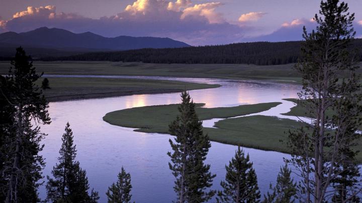 [45+] Yellowstone Wallpaper Desktop 