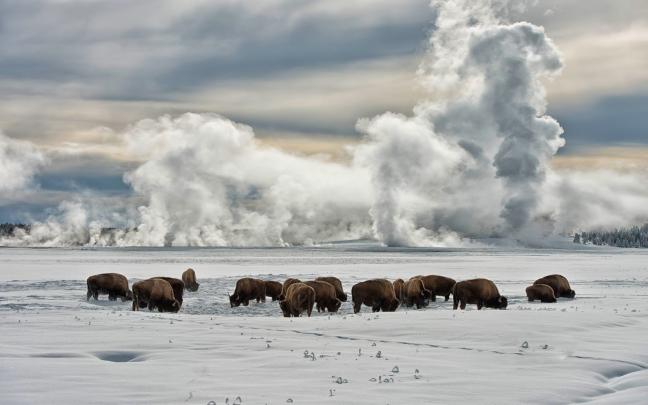 [40+] Yellowstone Wallpaper Widescreen 
