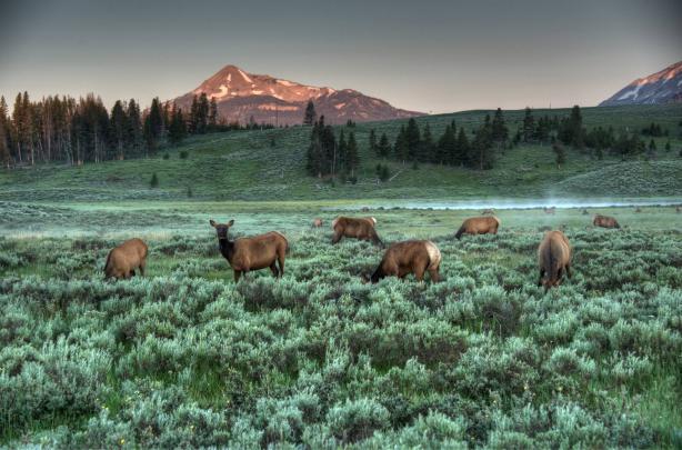 Yellowstone Wallpaper Widescreen (70+ images)
