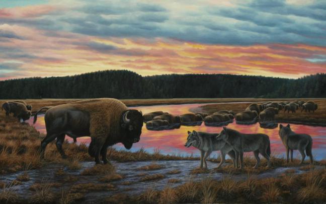 [40+] Yellowstone Wallpaper Widescreen 