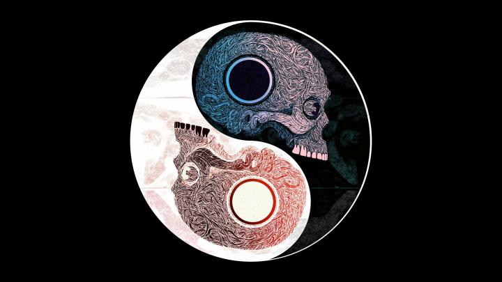 Yin Yang Dragon Wallpaper (49+ images)