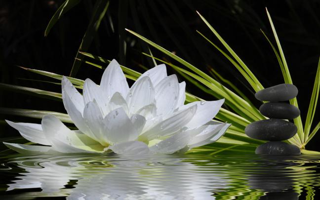 Zen Wallpaper Widescreen (62+ images)