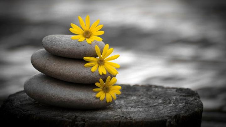 Free Download Zen Wallpaper in 2020 | Zen wallpaper, Black background 