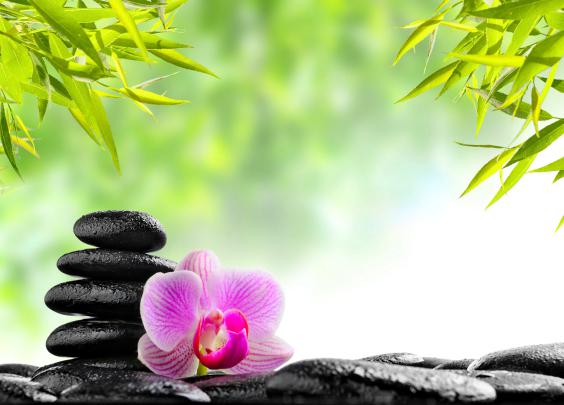 Peaceful Zen Wallpapers - Top Free Peaceful Zen Backgrounds 