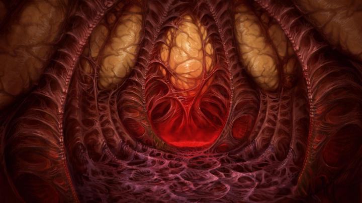 Zerg Wallpaper HD -