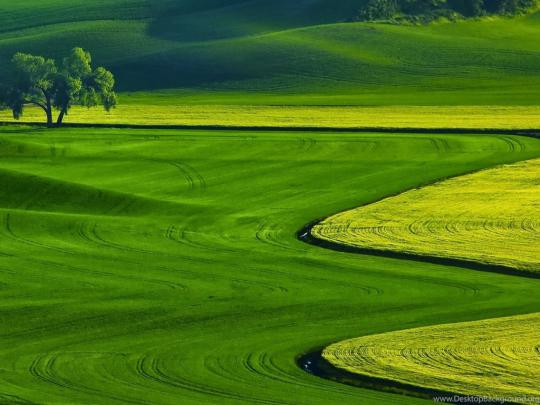 Free Download Full Hd Nature Wallpapers For PC Desktop Backgrounds 