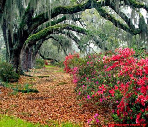 10 Most Popular Nature Wallpaper Desktop Background Full Screen FULL HD 