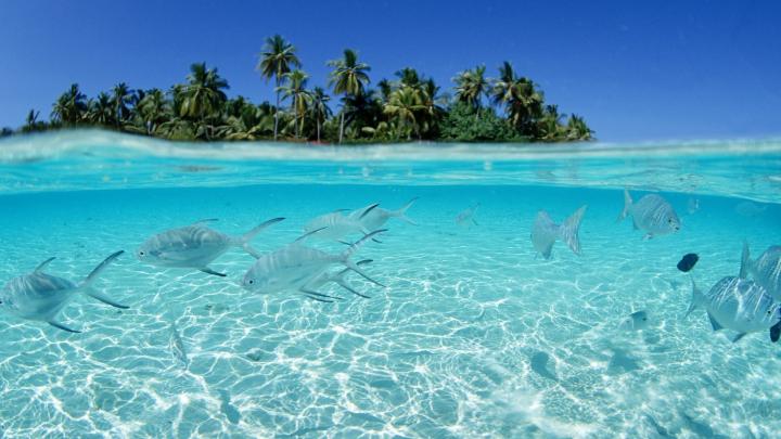 Nature Desktop Wallpapers Backgrounds \u00b7\u2460 