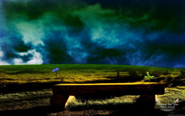 Nature Wallpaper Widescreen -